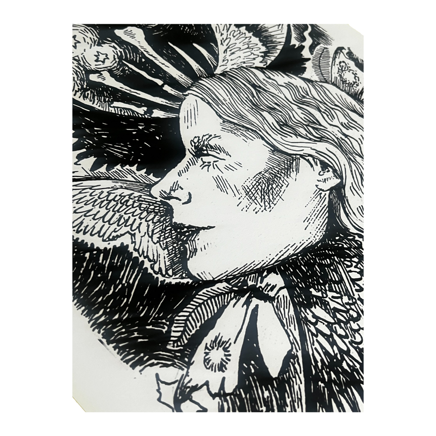 Cacophony A3 Print