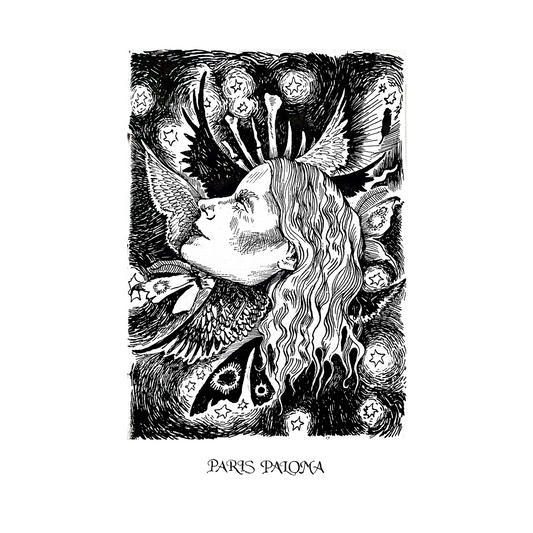 Cacophony A3 Print US